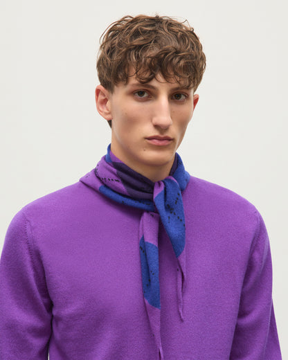 JOHNSTONS OF ELGIN REUBEN CREW CASHMERE CREW NECK SWEATER - 2 PLY PURPLE 100% CASHMERE KAP06051SD5371